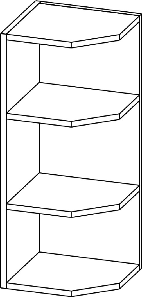 Шкаф торцевой Ш300т/720